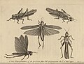 Thumbnail for version as of 16:27, 12 January 2016